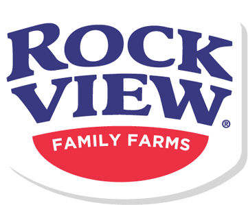 Logo 17